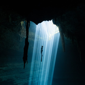 Into The Depths