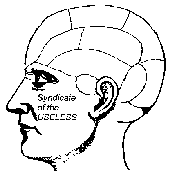 Extremely Rough Demo