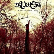 Слезы пылающей осени