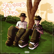 SALVADORES DO BRASIL