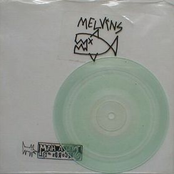 Love Canal by Melvins