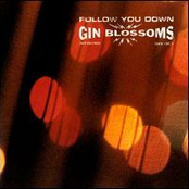 Seeing Stars by Gin Blossoms