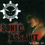 Sonic Assault Volume 1.0