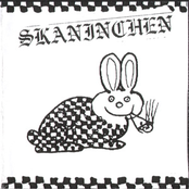 die skaninchen