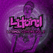 Litanol Covers Vol.2