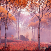 Lothlorien (Lord Of The Rings Lofi)