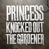Break Up The Walls by Princess Knocked Out The Gardener
