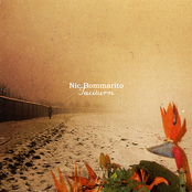 I Never Listen by Nic Bommarito