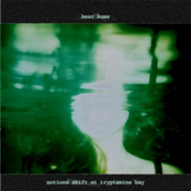 Notions Shift At Tryptamine Bay