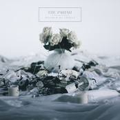 Divided by Choice - EP