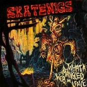 Rip Off by Skatenigs