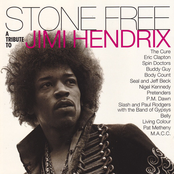 Stone Free: A Tribute To Jimi Hendrix