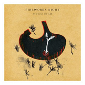 The Empty Orchestra by Fireworks Night