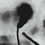 Cuddio Tu Ôl Y Llen