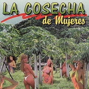 La Cosecha de Mujeres
