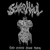 Torso Mangled Beyond Repair (Extended)