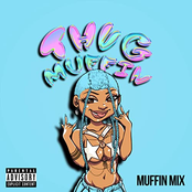 Muffin Mix