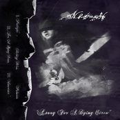 A Song For A Dying Siren