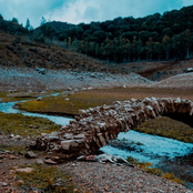 mentre i monsoni curano e scuotono l'erba rimasta,