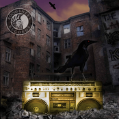 Presents Immaculate Artifact EP