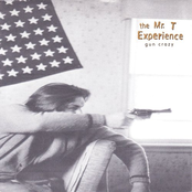 Swallow Everything by The Mr. T Experience