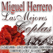 Las Mejores Coplas Miguel Herrero