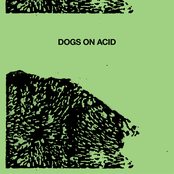 Dogs on Acid 7"