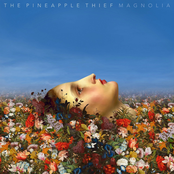 The One You Left To Die by The Pineapple Thief