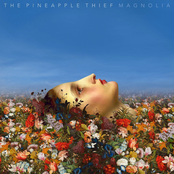 Magnolia by The Pineapple Thief