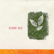 Alison's Halo: Dozen / Calendar