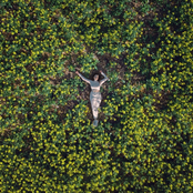 Lyrah: In the Leaves