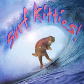 surf kitties!