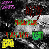 Finally Came 4 way split