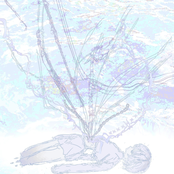 情性は、静脈の中に