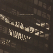 Drones & Sharp Teeth