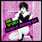 Cool 60's Girls - Felines of Northern Soul