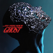 Feel Your Ghost - Single