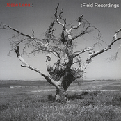Field Recordings