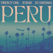 Fireboy DML: Peru (R3HAB Remix)