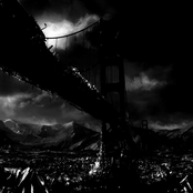 The Leviathan Crawls Ashore