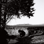 Jake Minch: how many