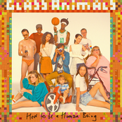 Glass Animals - Poplar St