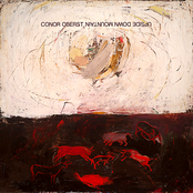 Conor Oberst: Upside Down Mountain