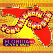 Psychedelic States: Florida in the 60s, Vol. 3