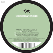 Amir Ali: Beautiful World