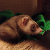 Out Of Touch (Live in Johnstown, PA)