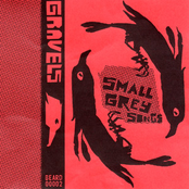 Gravel: Small Gray Songs