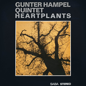 Heartplants