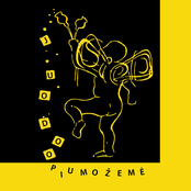Juodo Opiumo Žemė