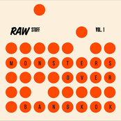 RAW STUFF VOL.1